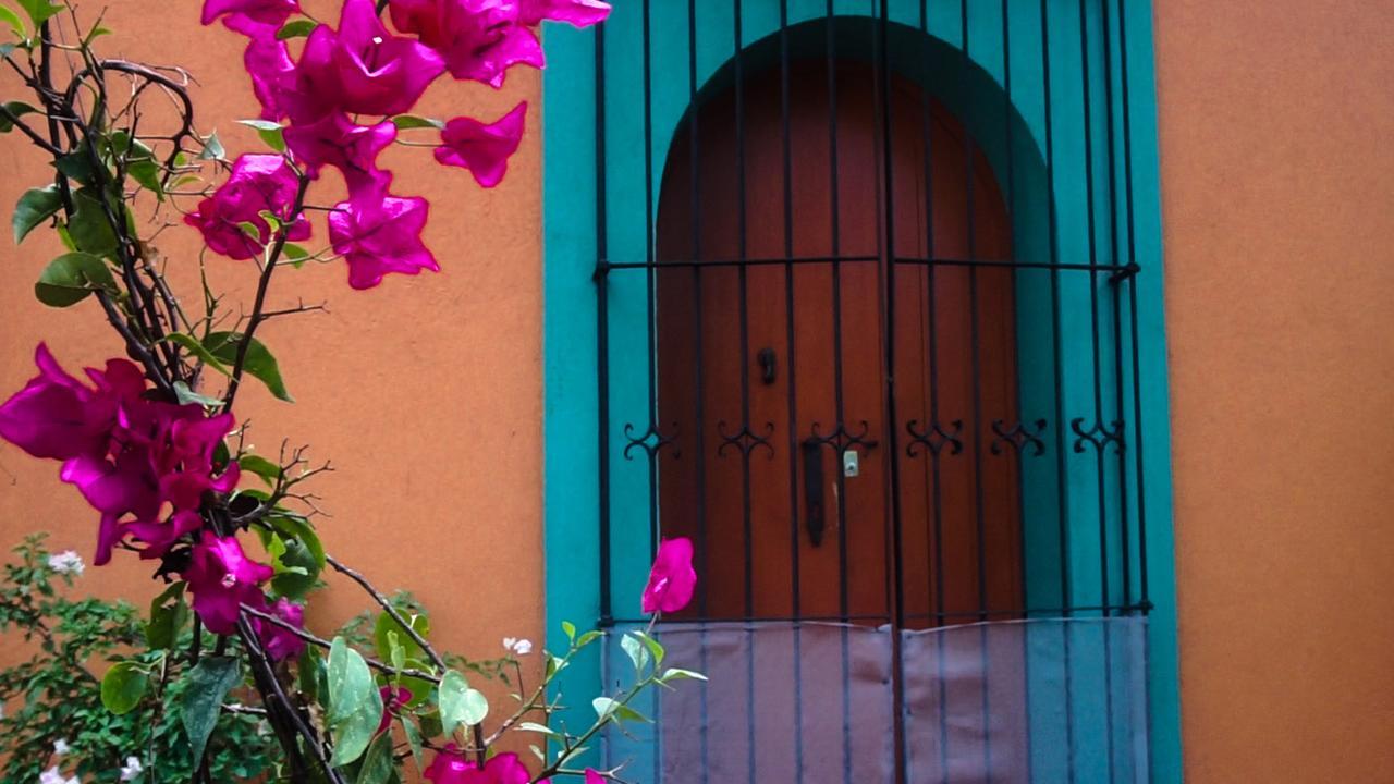 Casa Frida B&B Oaxaca Eksteriør billede