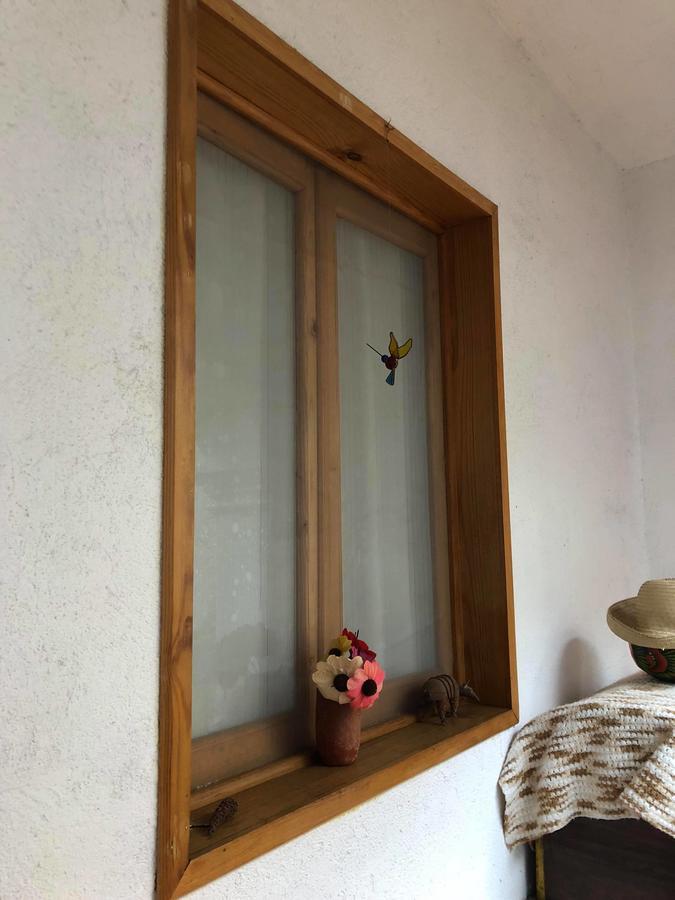 Casa Frida B&B Oaxaca Eksteriør billede
