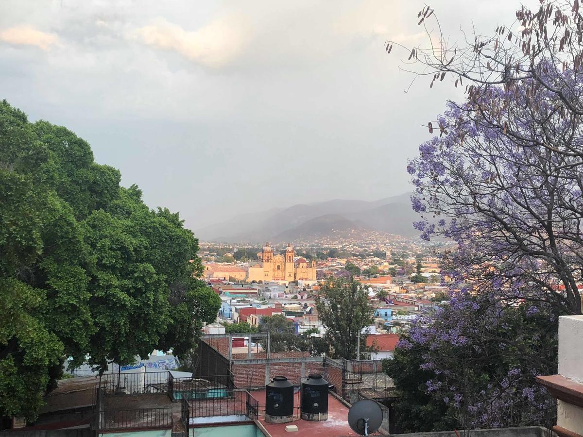 Casa Frida B&B Oaxaca Eksteriør billede